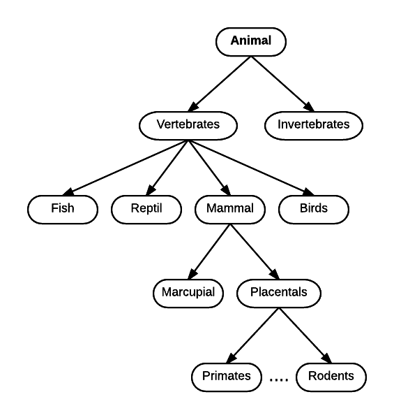 Animal classification